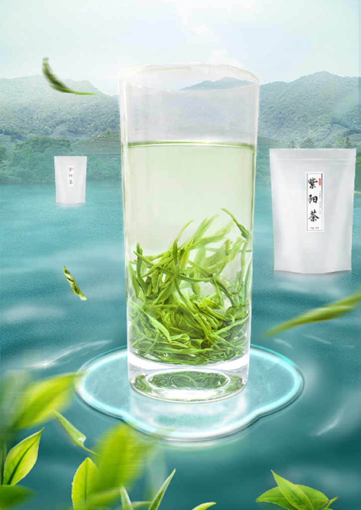 紫阳茶
